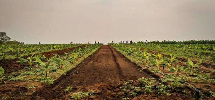 O projeto MAHINE, liderado pela UNEATLANTICO, inicia o desenvolvimento de pacientes virtuais para aprimorar a educação nutricional em Angola